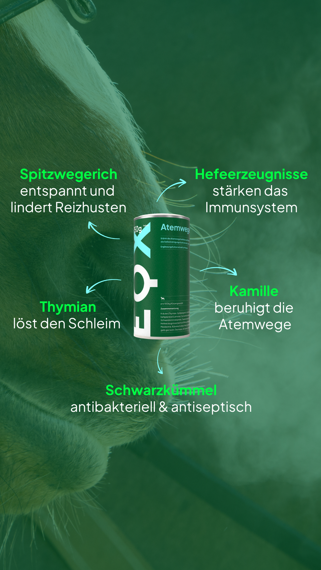 EQX Atemwege
