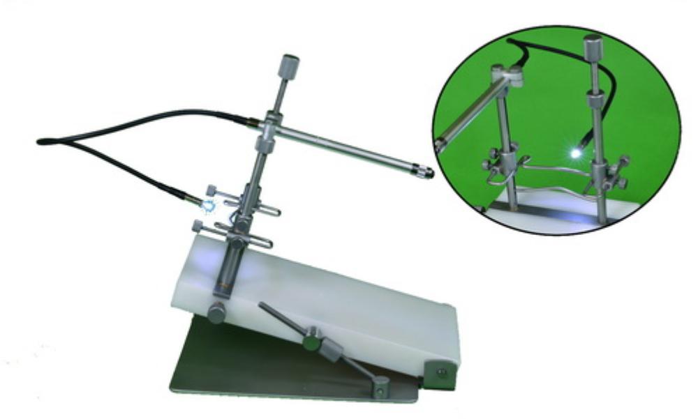 Zahnbehandlungsstand Nager mit LED, 1 Stk (012209)