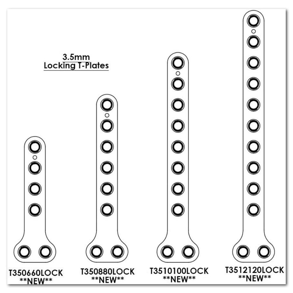 3,5 Locking-T-Platte, 10 Loch, 100mm lang T3510100LOCK
