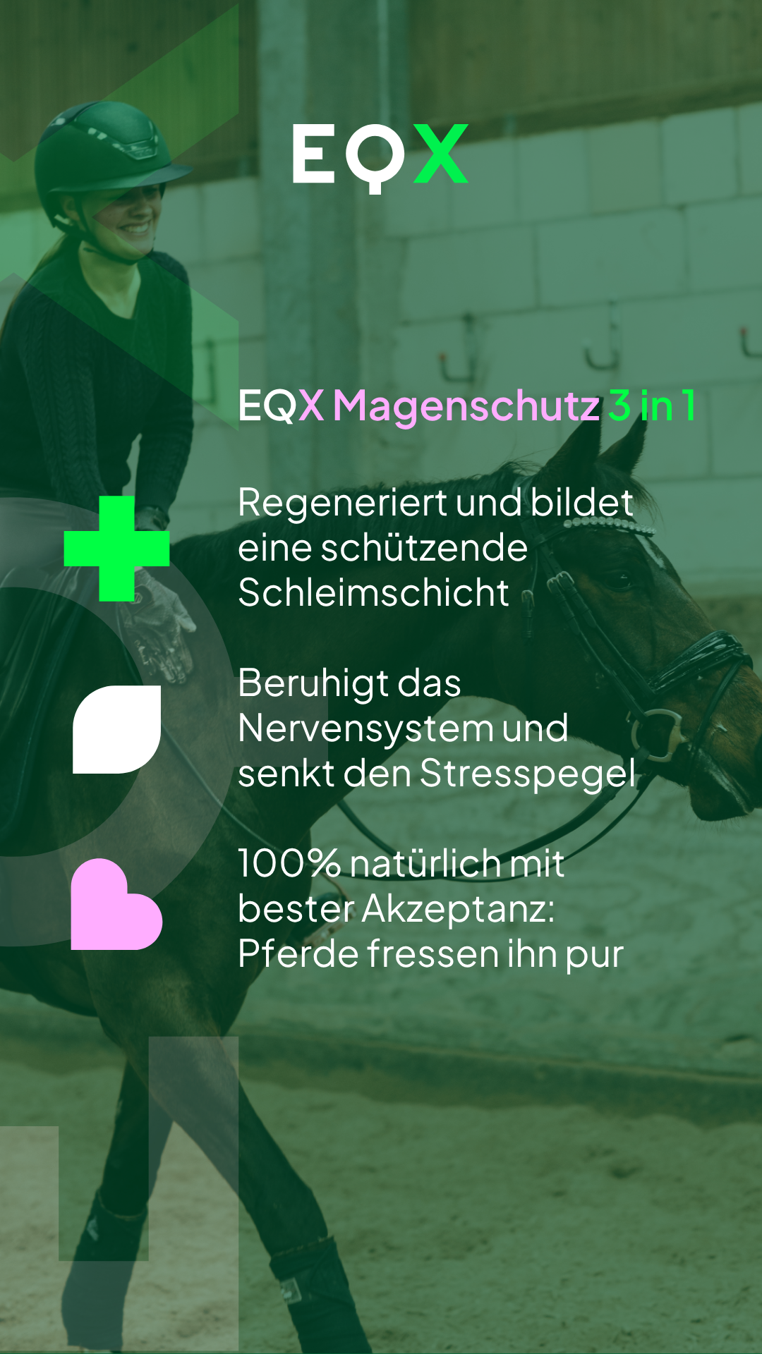 EQX Magenschutz