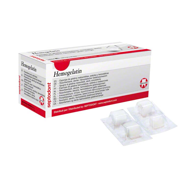 Hemogelatin Schwämmchen 24 Stk.