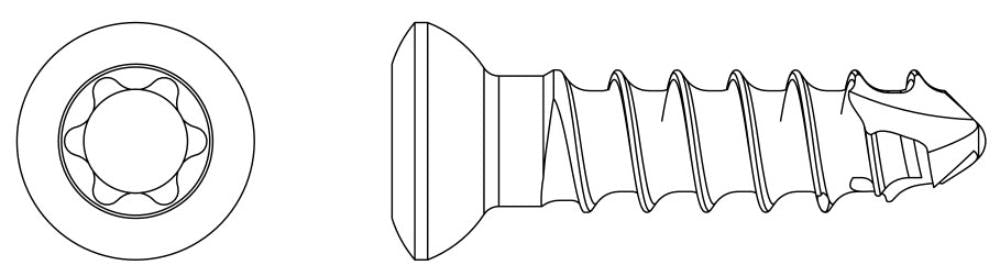2,4mm Kortikalisschraube selbstschn., Star-Kopf, 34mm lang (SDCS2434)