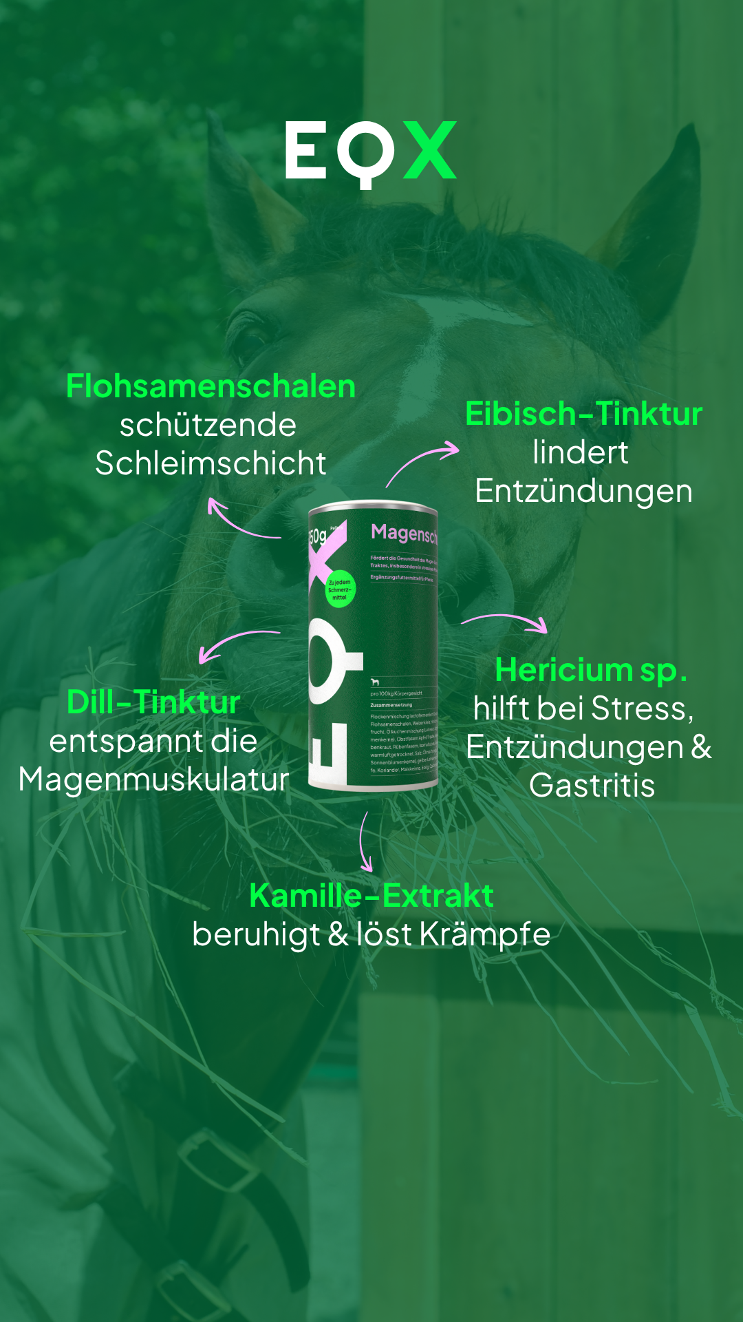 EQX Magenschutz
