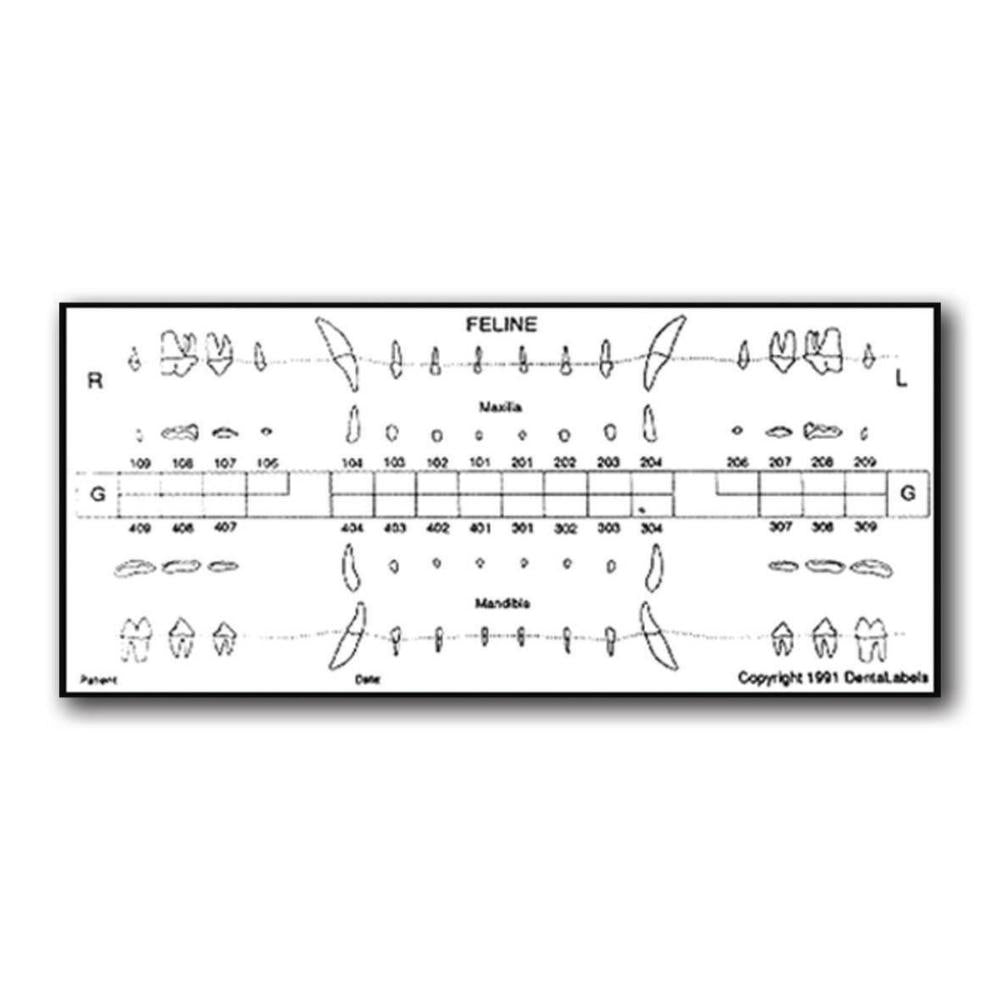 Zahntafel Hund, 50 Klebeetiketten (012200)