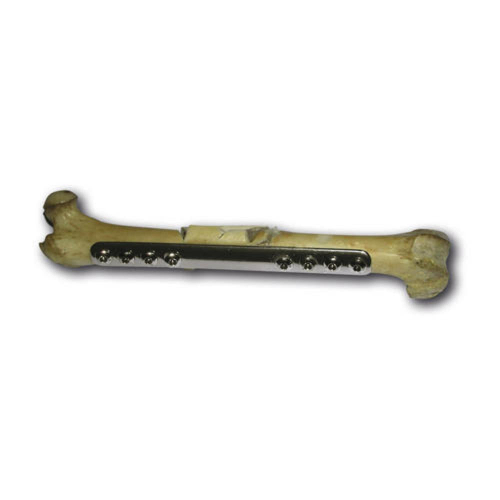 Biolog.Heilungsplatte breit 3,5mmx154mm 8 Loch BHBP3508154