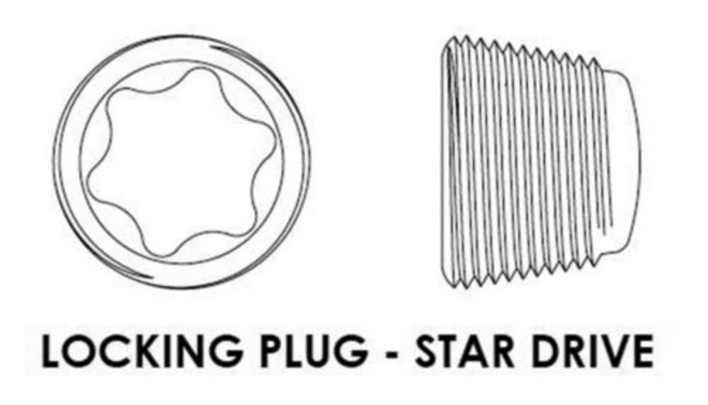 Locking-Plug für LS20 STAR-Schrauben LSP20STAR